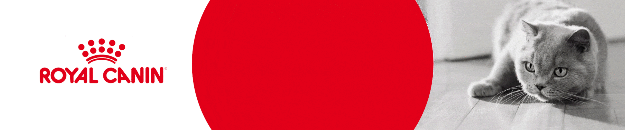 02BR - Royal Canin Brand Banner 