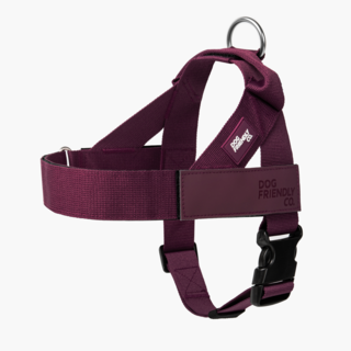 Dog Friendly Co. Premium Dog Harness 
