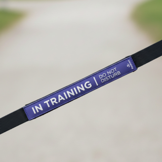 Petdirect In Training Dog Leash Sleeve