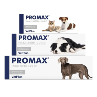 VetPlus Promax Dog & Cat Digestive Support 