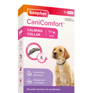 Beaphar CaniComfort Puppy Calming Pheromone Collar