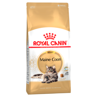 Royal Canin Maine Coon Adult Dry Cat Food